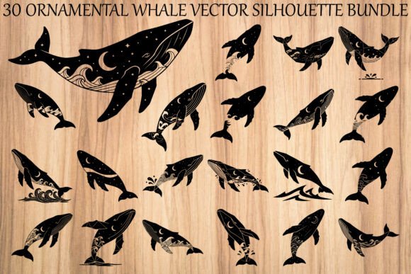 Ornamental Whale Silhouette Bundle Graphics